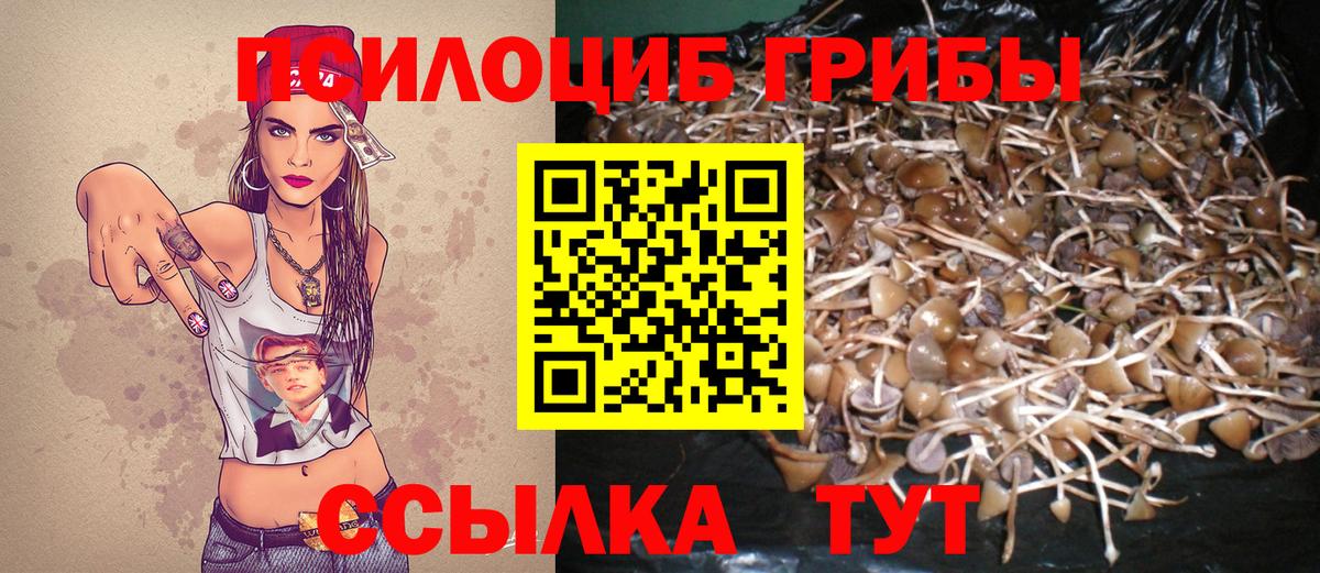 Псилоцибиновые грибы GOLDEN TEACHER Хабаровск